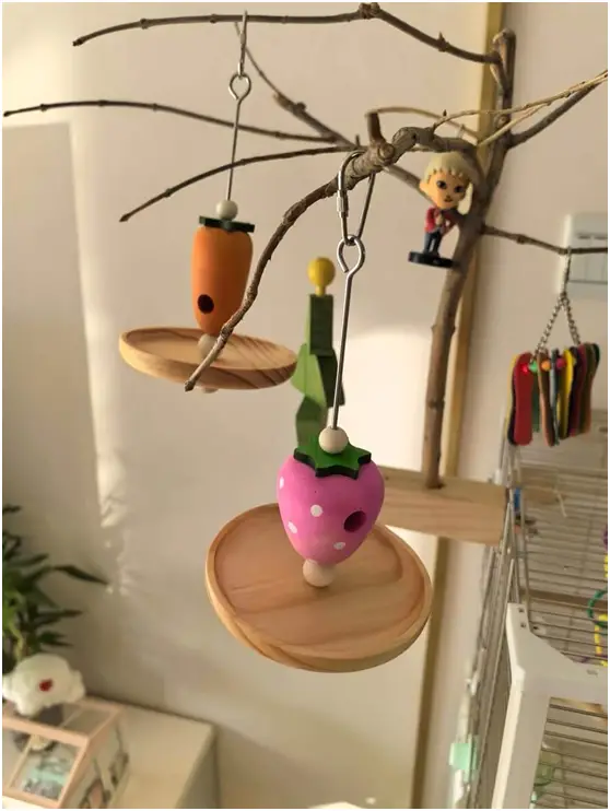 Step-by-Step Guide to DIY Bird Cage Decoration