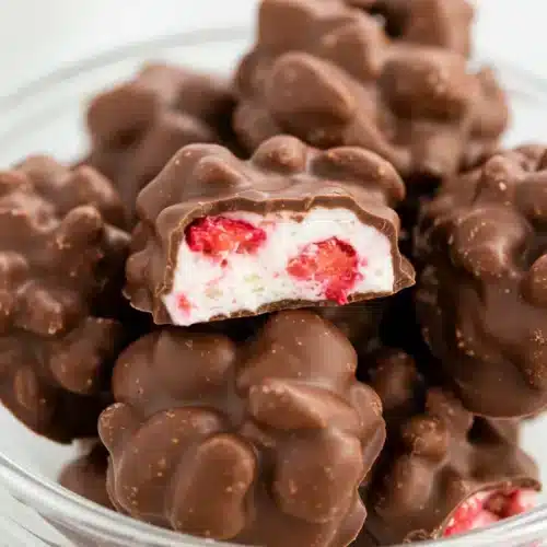 Chocolate Strawberry Yogurt Clusters Recipe
